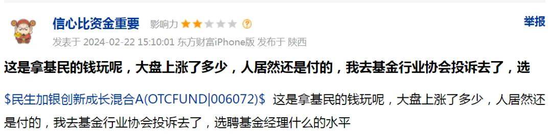 又一个美女基金经理，亏麻了