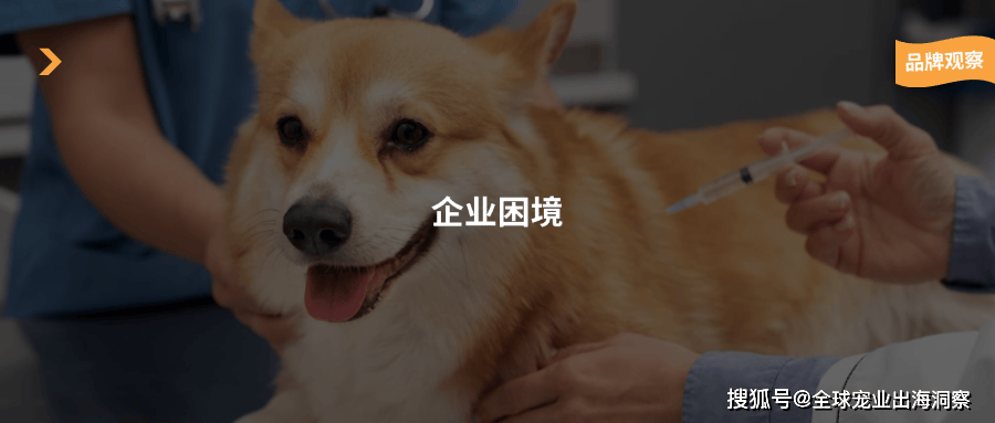 货币资金仅剩4万多，同泰生物主要业务陷入停顿